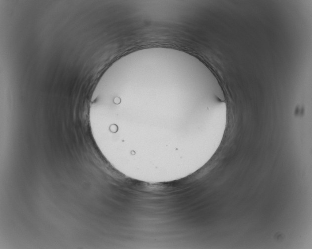 X0000112110336200909151230