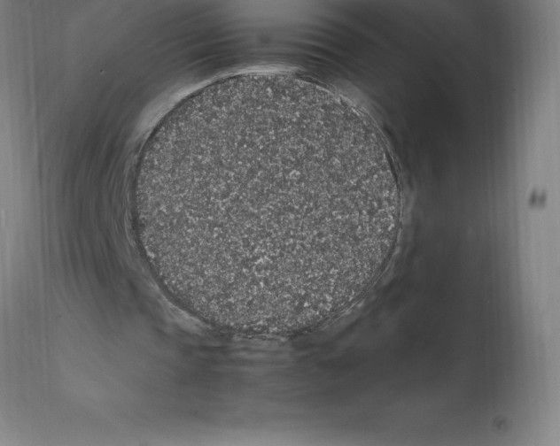 X0000112110337200909151229