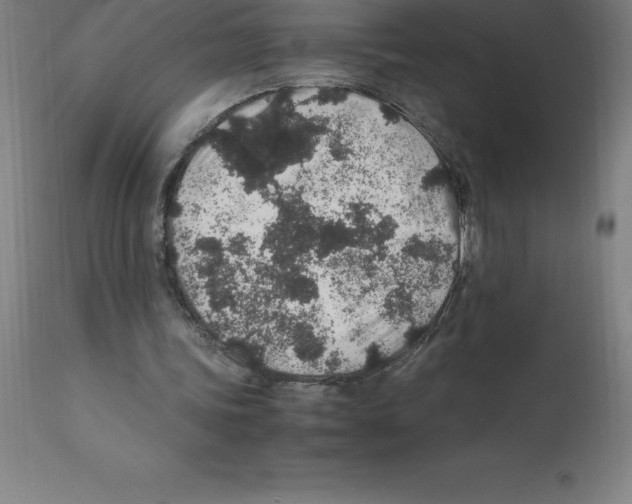 X0000112110339200909151229