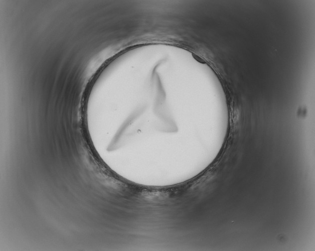 X0000112110340200909151229