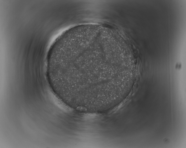 X0000112110342200909151229