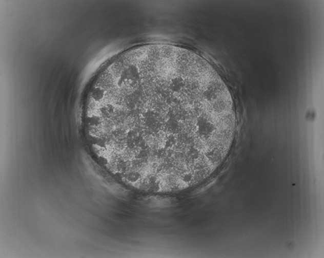 X0000112110343200909151229