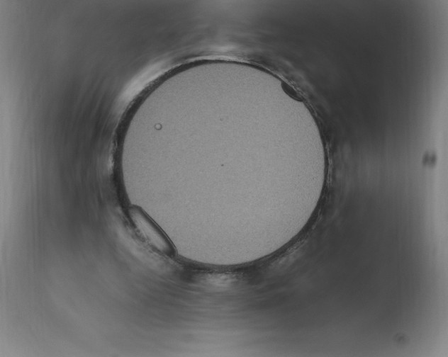 X0000112110344200909151229