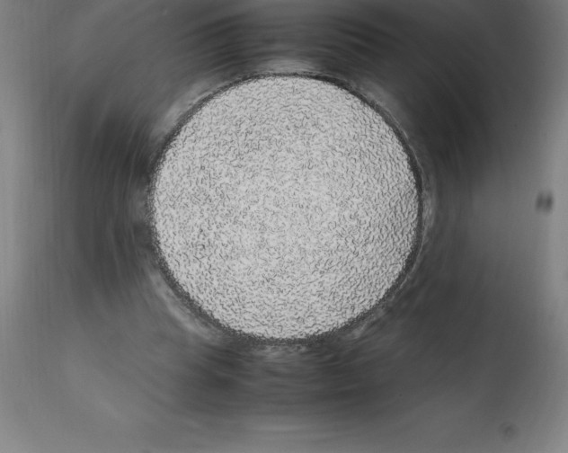 X0000112110345200909151229