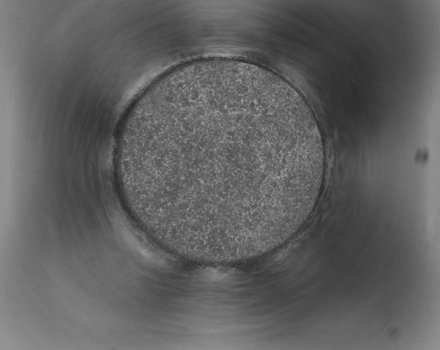 X0000112110346200909151229
