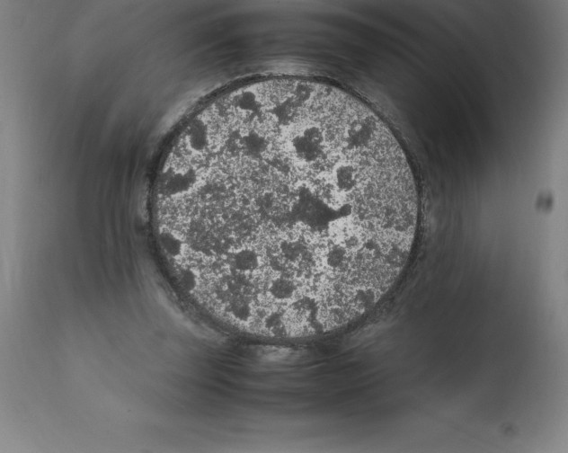 X0000112110347200909151229