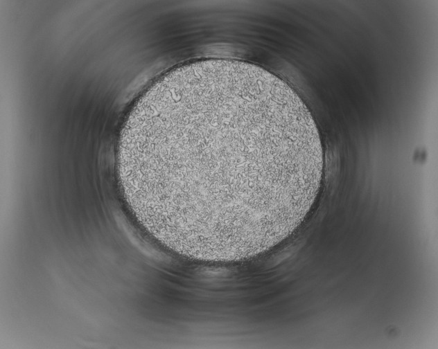 X0000112110349200909151229
