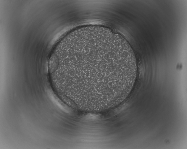 X0000112110350200909151229