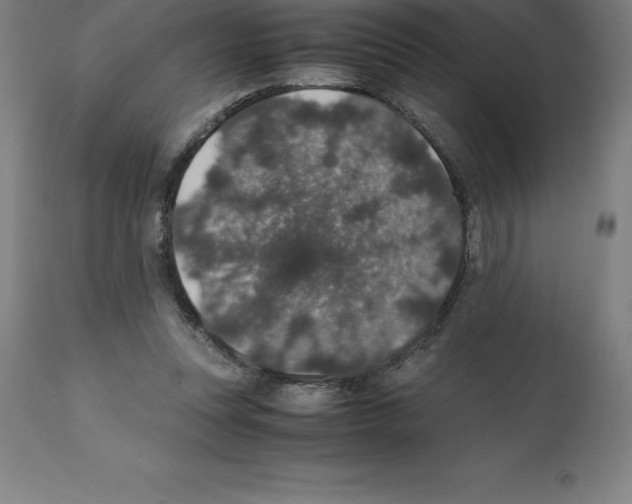 X0000112110351200909151229