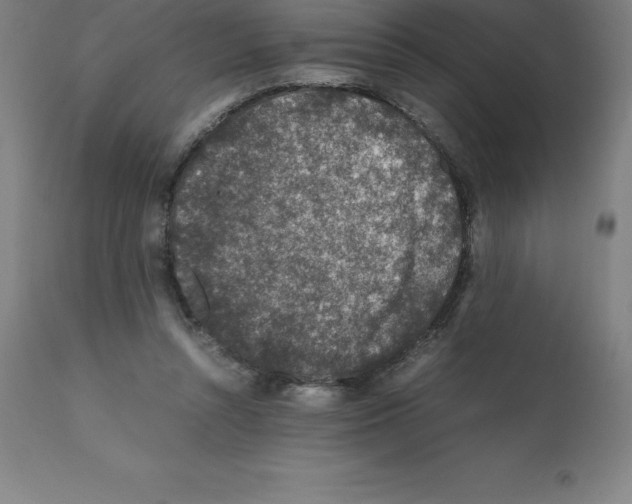 X0000112110352200909151229
