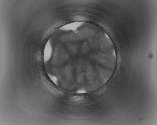 X0000112110353200909151229