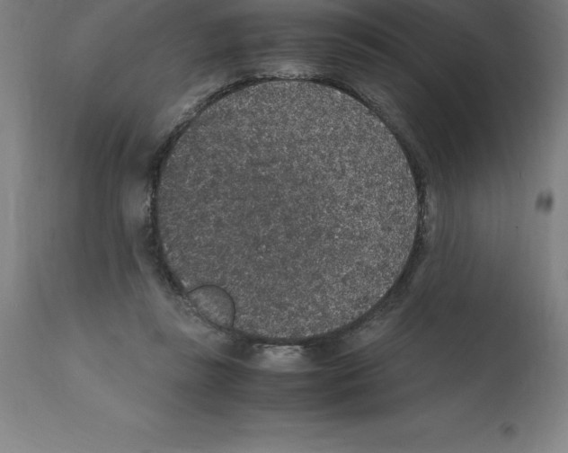 X0000112110355200909151230