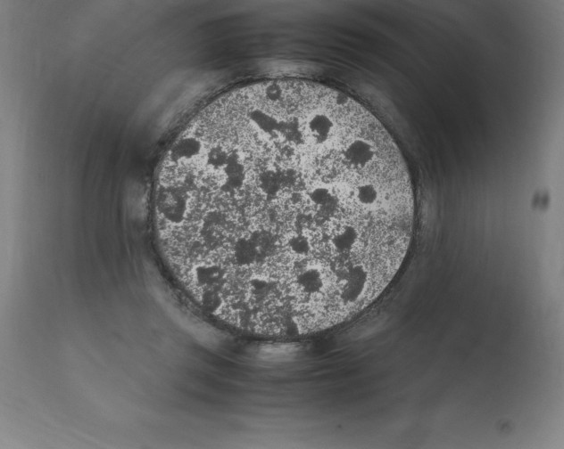 X0000112110357200909151230