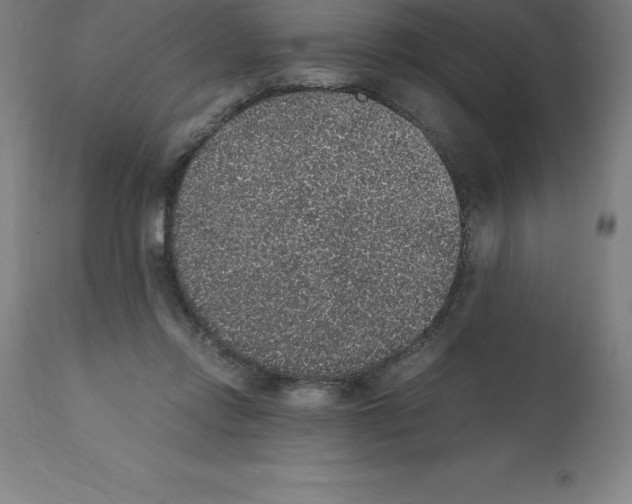 X0000112110358200909151230