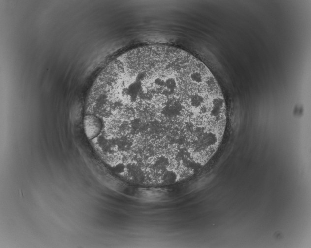 X0000112110359200909151230
