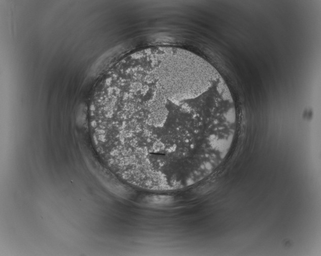 X0000112110361200909151230