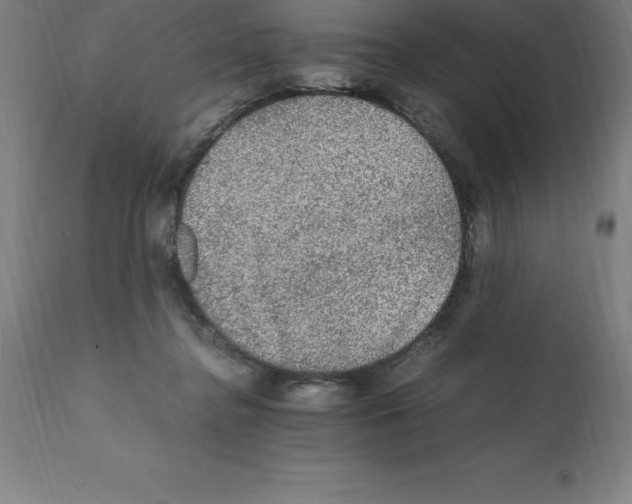 X0000112110364200909151230