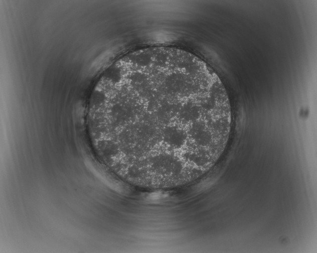 X0000112110366200909151230