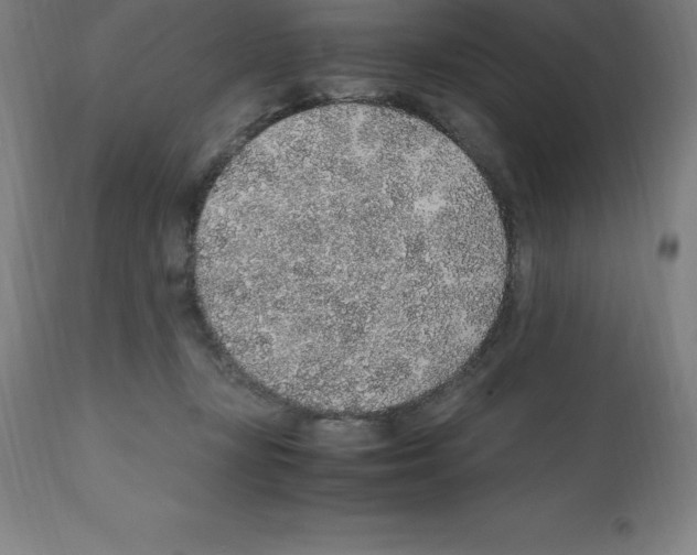 X0000112110367200909151230