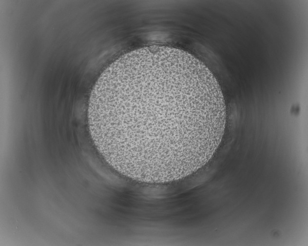 X0000112110369200909151230