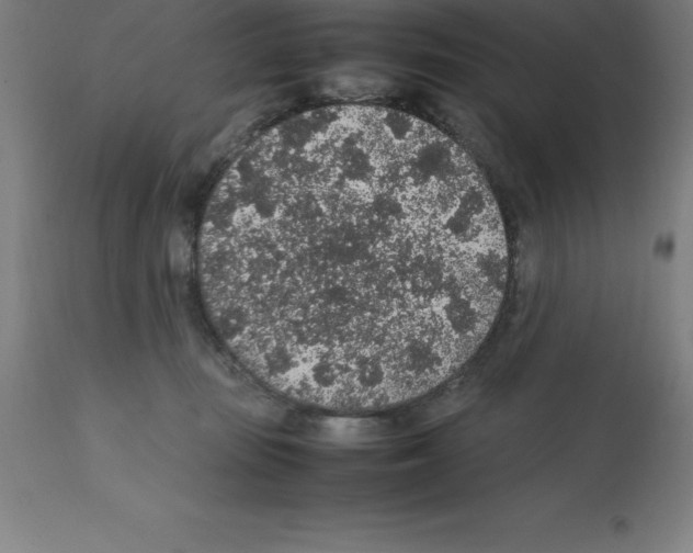 X0000112110371200909151230