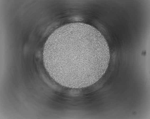X0000112110373200909151230