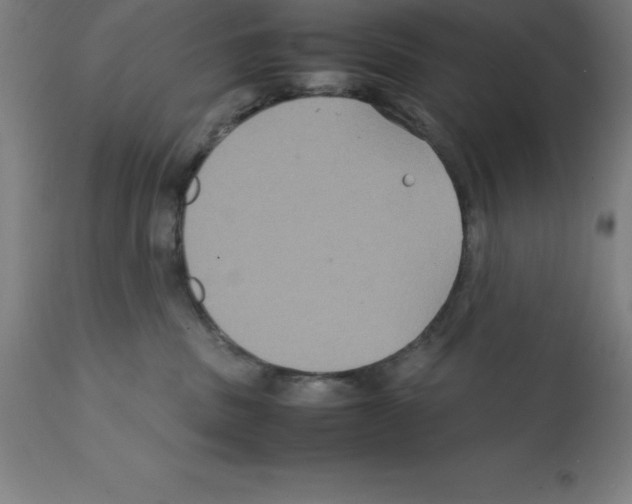 X0000112110379200909151230