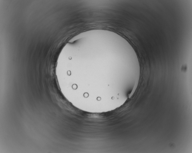 X0000112110380200909151230