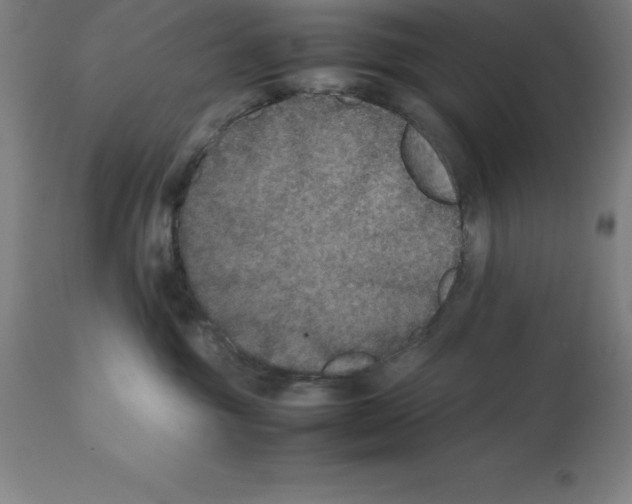 X0000112110381200909151230