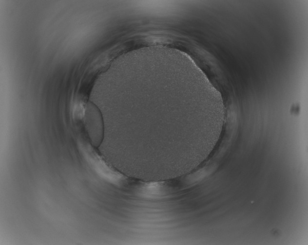 X0000112110382200909151230