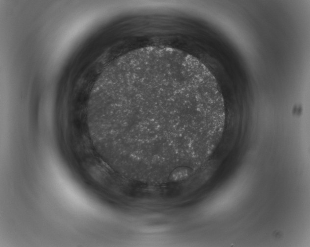 X0000112110383200909151230