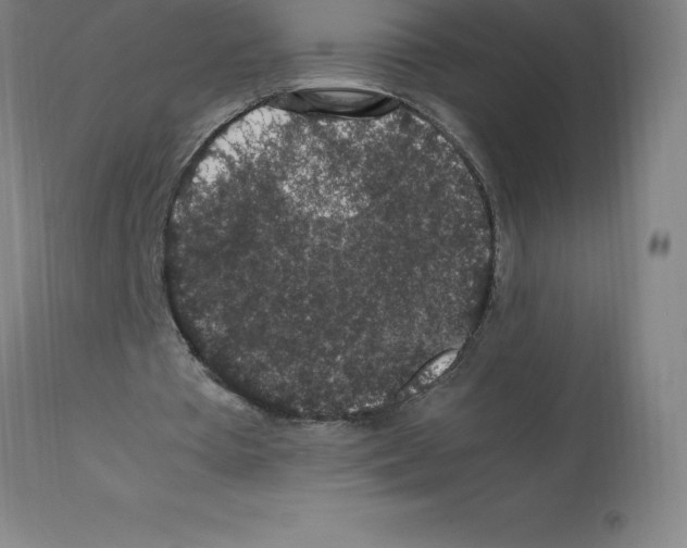 X0000112110385200909151229
