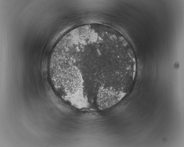 X0000112110386200909151229
