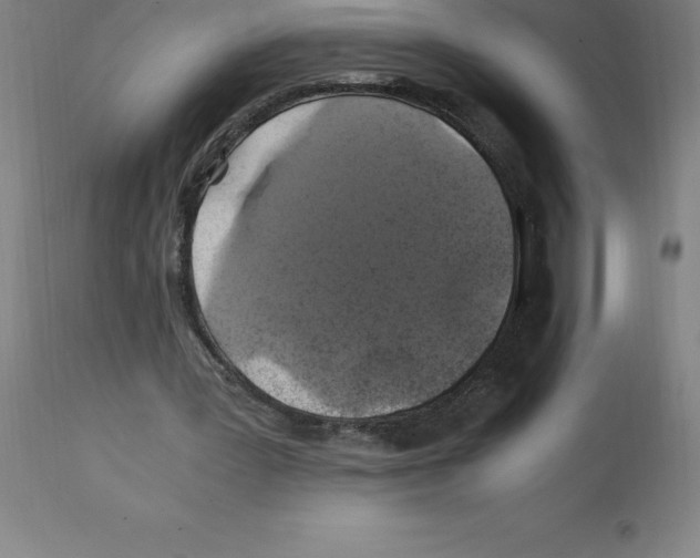 X0000112110387200909151229