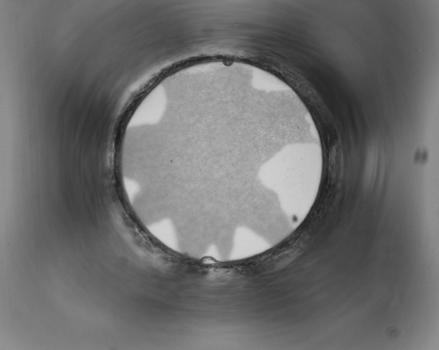 X0000112110388200909151229