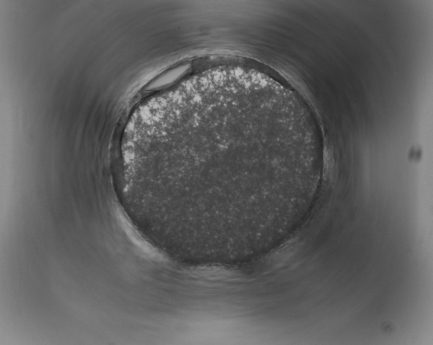 X0000112110389200909151229