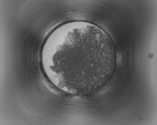 X0000112110390200909151229