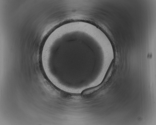 X0000112110391200909151229