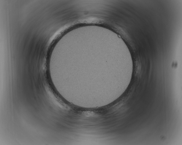 X0000112110392200909151229