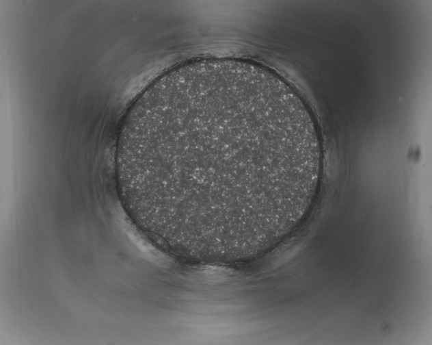 X0000112110393200909151229