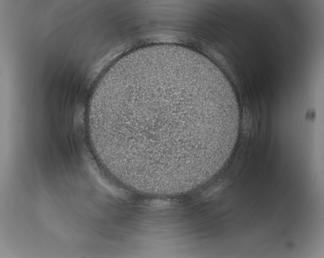 X0000112110394200909151229