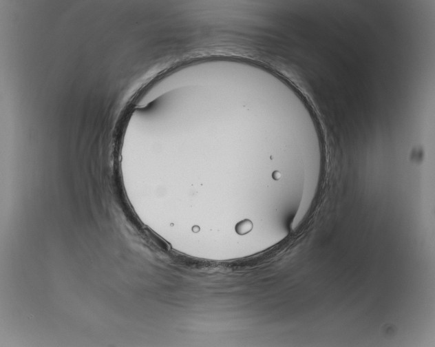 X0000112110395200909151229