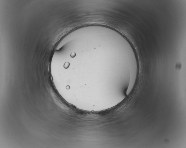X0000112110397200909151229