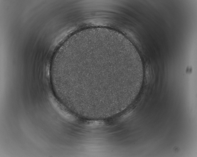 X0000112110398200909151229