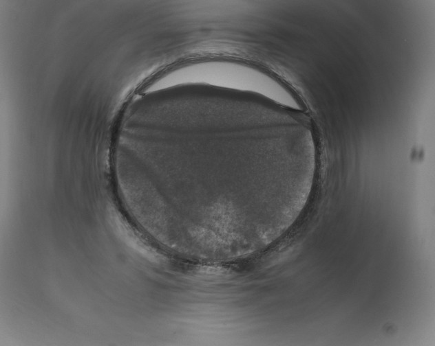 X0000112110399200909151229