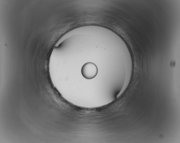 X0000112110401200909151229