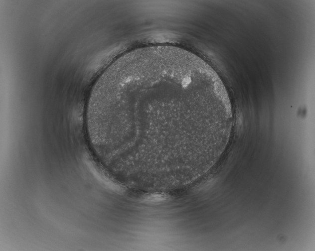 X0000112110402200909151229