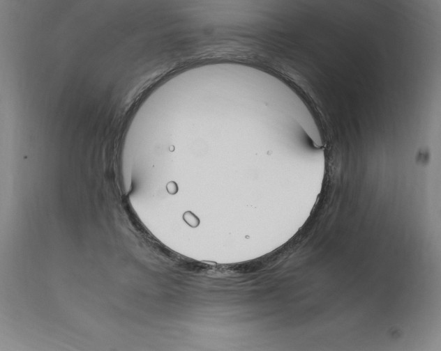 X0000112110403200909151229