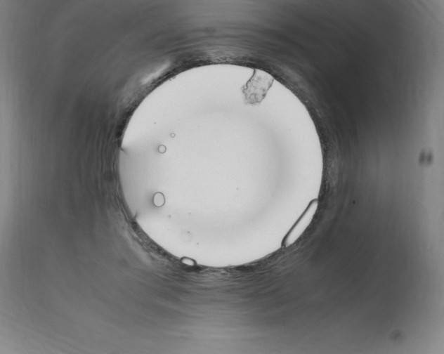 X0000112110405200909151229