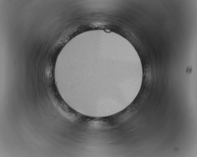 X0000112110408200909151229